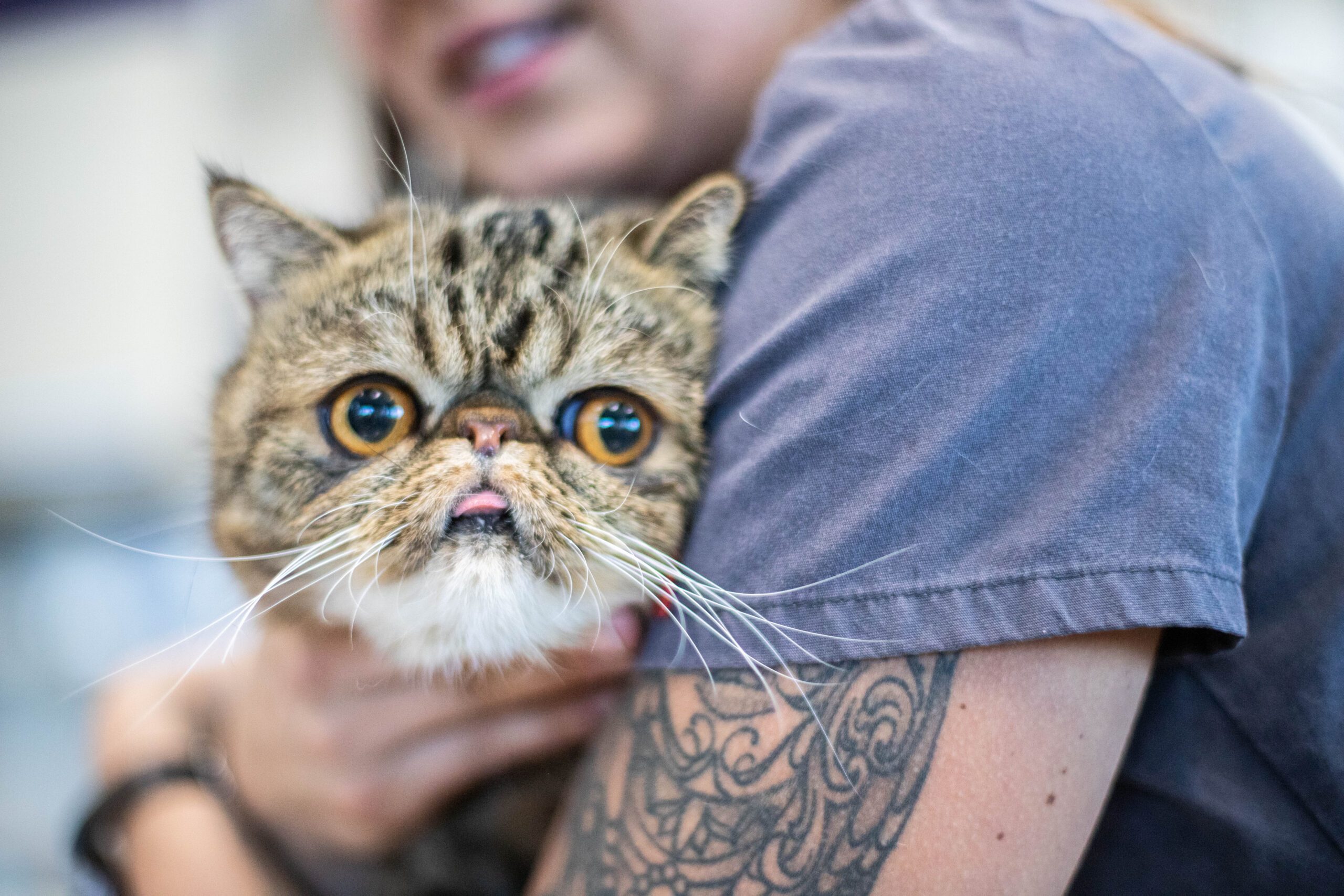 PetDesk Success Stories | 0522 Cabrillo Pet Hospital 0259 scaled