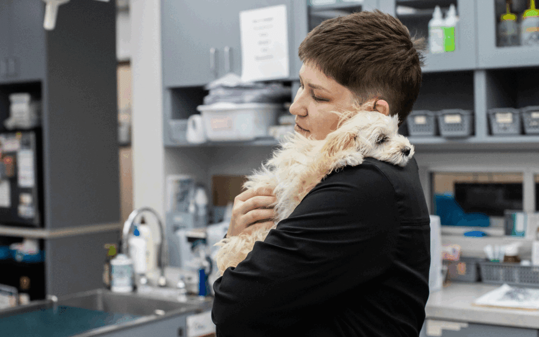 Telling Signs of Pain in Cats and Dogs