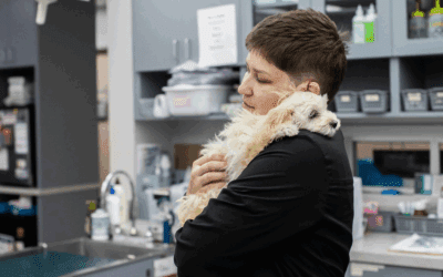 Telling Signs of Pain in Cats and Dogs