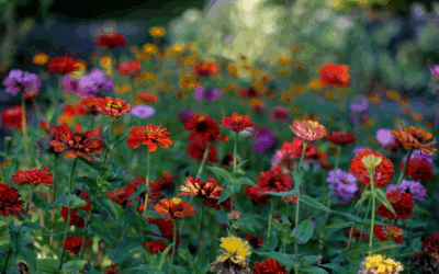 5 Toxic Outdoor Plants for Dogs & Cats (and Safe Ones, Too!)