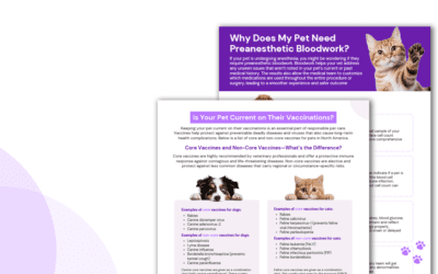 The Ultimate Client Education Content Pack: Handouts