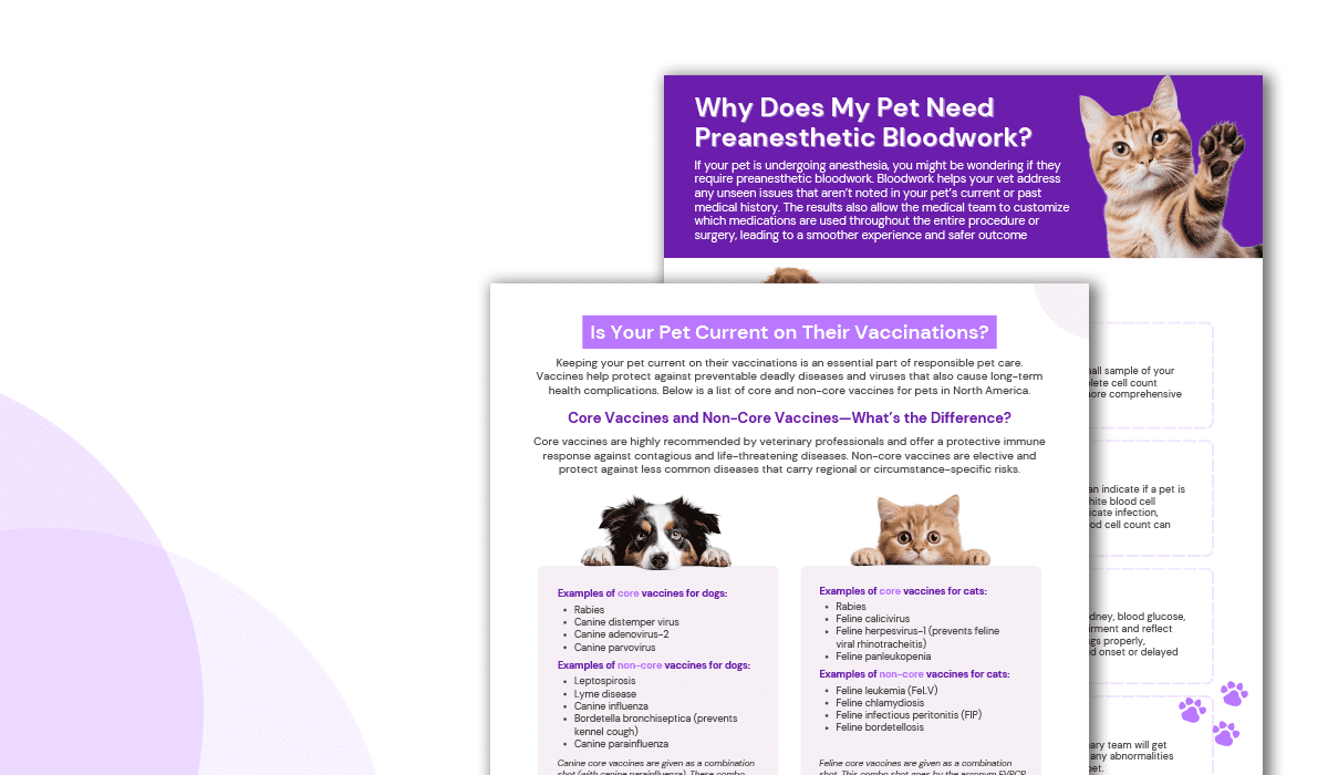 Ultimate Client Education Handouts