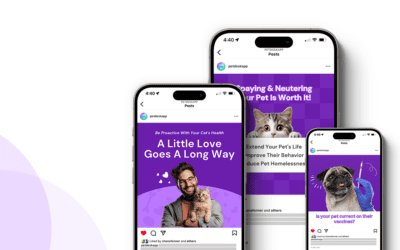 The Ultimate Client Education Content Pack: Social Posts