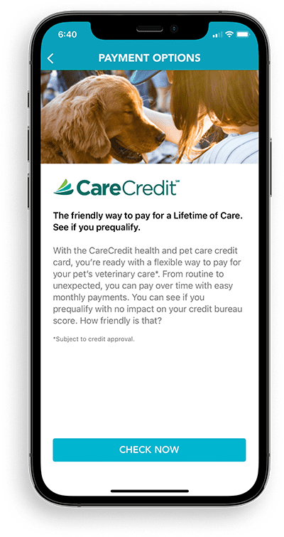 mobile-view-of-PetDesk-app-Payment-Options-screen-including-CareCredit-400px-1 mobile view of Payment Options screen on PetDesk app