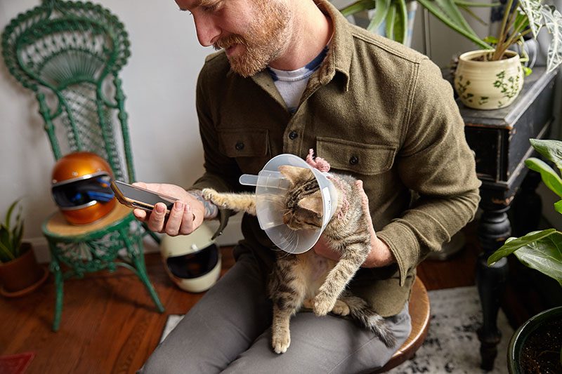pet-parent-on-app-holding-cat-9495 three people smiling