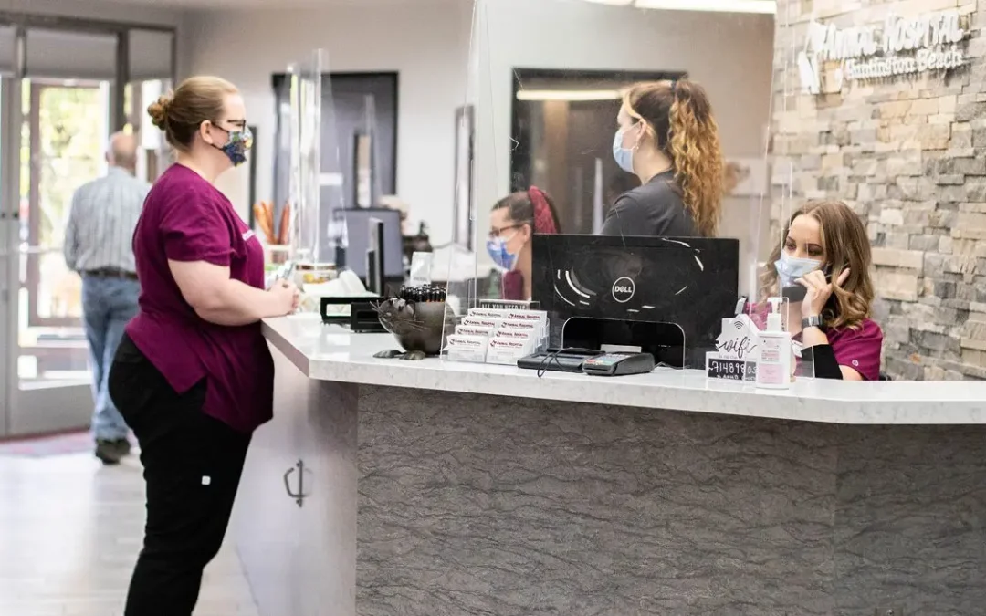 A group of Veterinary CSRs chatting at the front desk of the practice