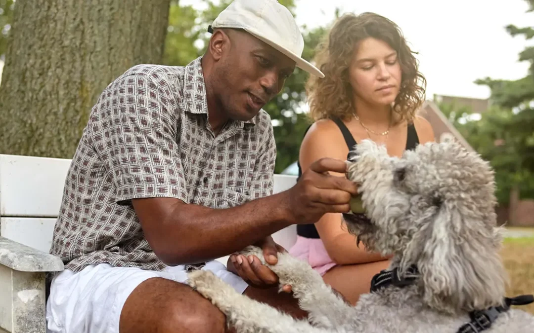 A man and woman playing with their dog in the park