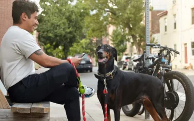 Enhancing Veterinary Practice Communication with Two-Way Messaging: A Game-Changer for Your Clinic