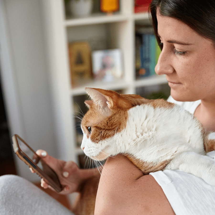 Larger_PetDesk_Case Studies_Convenient App_A Pet parent using their cell phone whole holding their cat