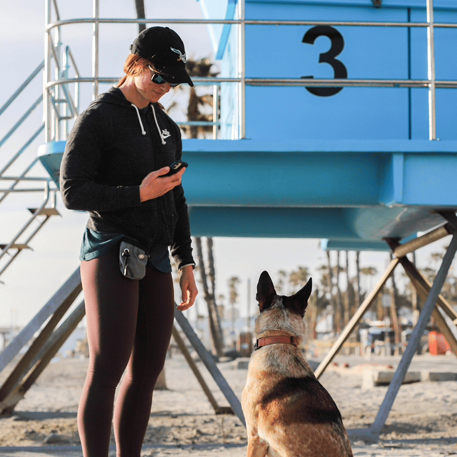 Larger_PetDesk_Case Studies_Grow Rev with Retention_B Pet parent utilizing their cell phone next to their leashed dog on the beach