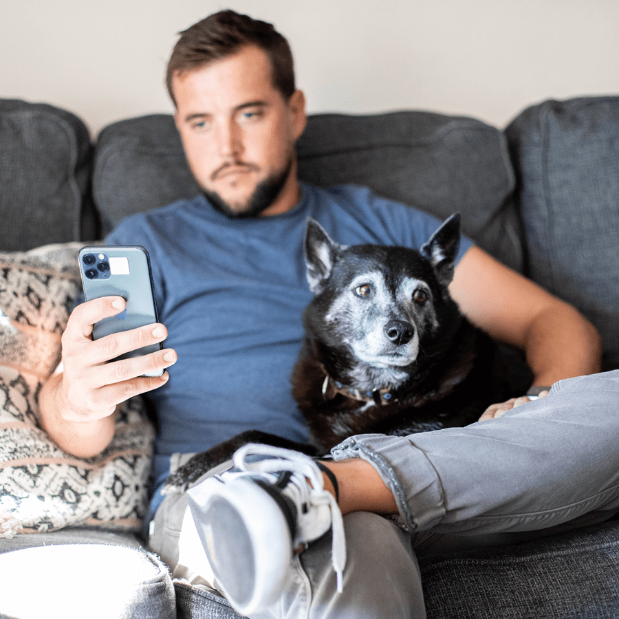 Pet parent using their phone while sitting on the couch with their dog