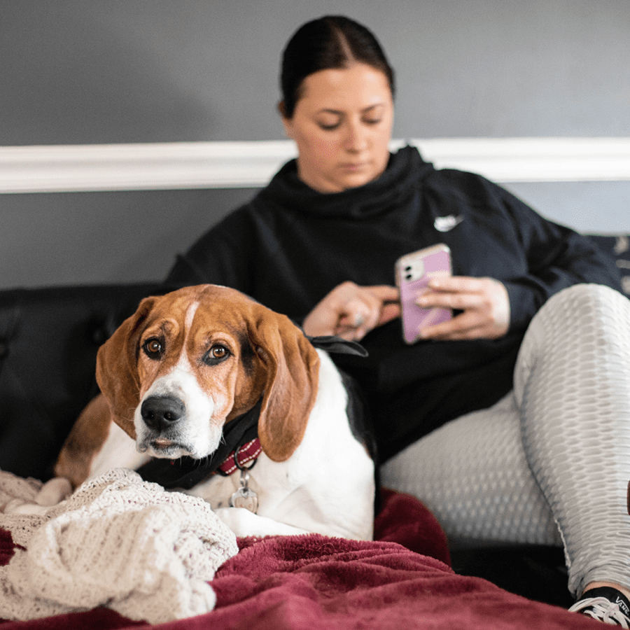 Larger_PetDesk_Case Studies_Two-Way_A A pet parent using her cell phone while relaxing with her dog on the couch