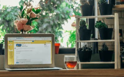 7 Essential Email Templates for Your Veterinary Practice