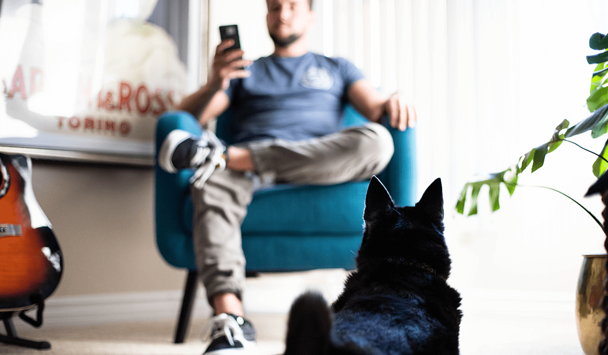 Pet parent sitting in a chair and utilizing their cell phone while their dog lays next to them