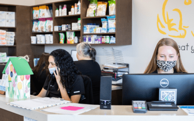 PetDesk vs. Demandforce: Easier Appointment Reminders, Confirmations and Cancellations Save 5+ Hours Per Day