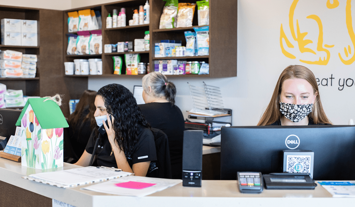 Veterinary CSRs working hard at the front desk
