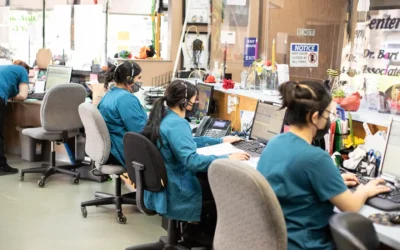 How To Be A Great Veterinary Triage CSR