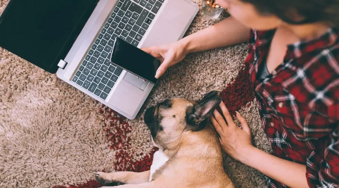 Girl using her phone and laptop while her dog lays next to her