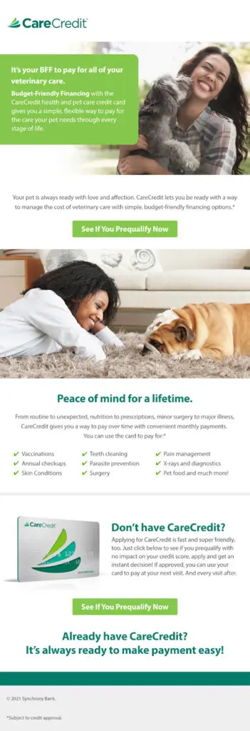 8 Mass Message Ideas at Your Veterinary Practice | carecredit mass message blog