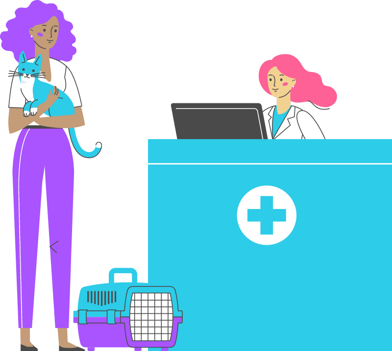 illustration-of-client-and-cat-with-vet-800px-1 illustration of client and cat with vet
