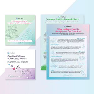 A sneak peak at our gut health pack