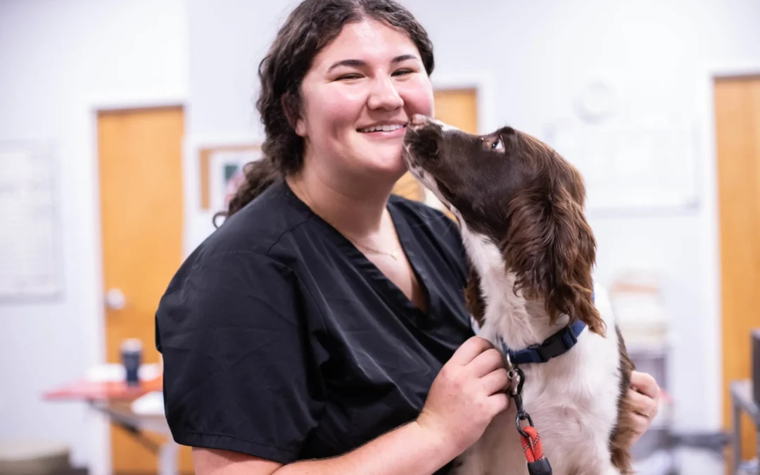 8 Tips for Choosing the Right Veterinary Client Communication Software for Your Clinic
