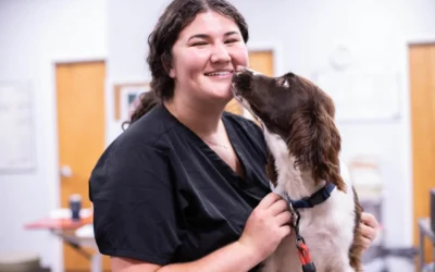 8 Tips for Choosing the Right Veterinary Client Communication Software for Your Clinic