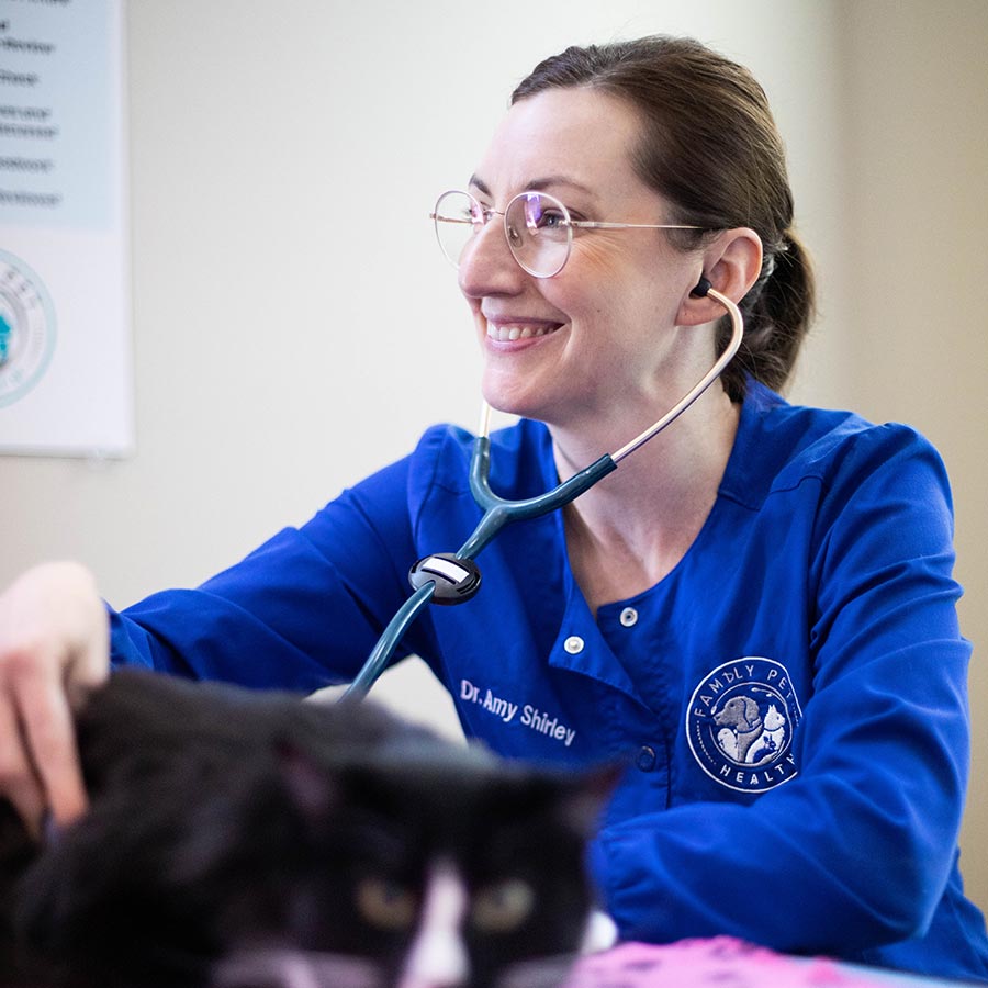 veterinarian-examining-cat-1879 veterinarian smiling and examining black and white cat
