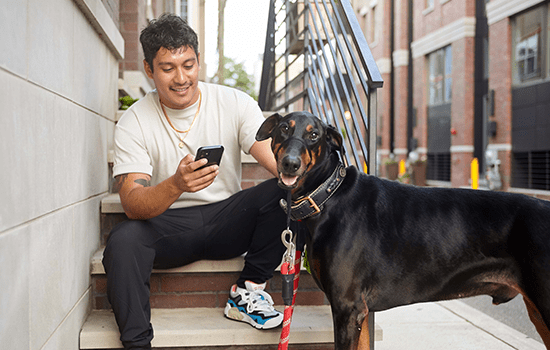 PetDesk_ezyVet_Intro_B Pet parent utilizing their cell phone while sitting next to their leashed dog