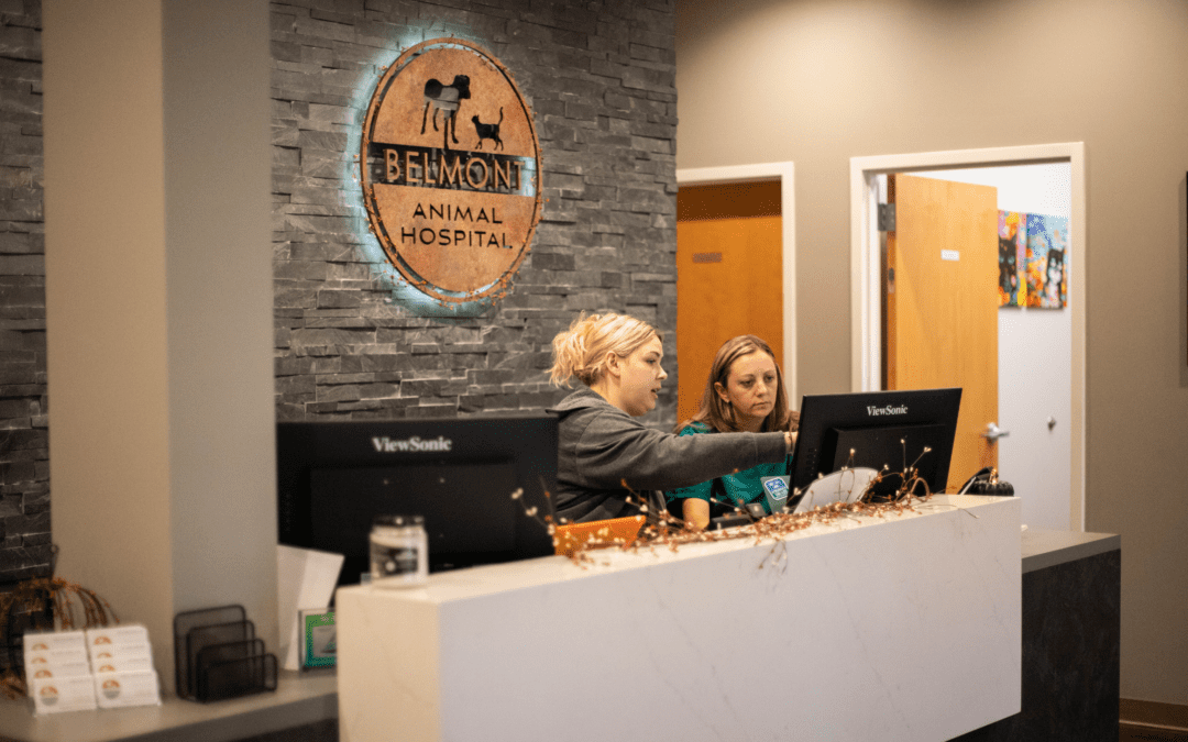 Streamline Your Veterinary Clinic For The Future