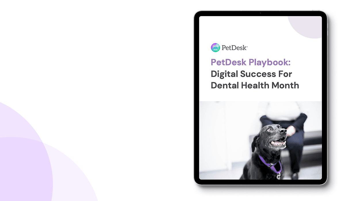Pet Dental Health Month