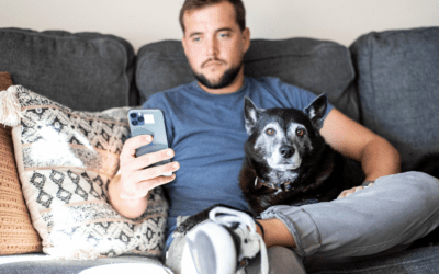 Leveraging Veterinary Client Communication Software to Strengthen Client Relationships