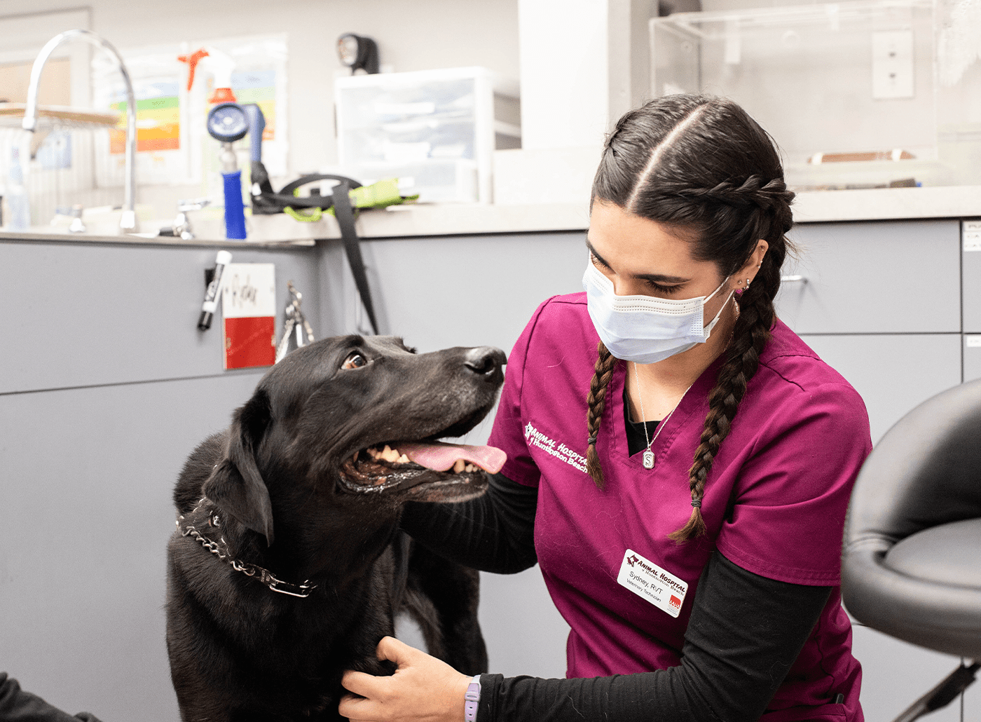 PetDesk and Penn Vet veterinary team member holding white fluffy dog