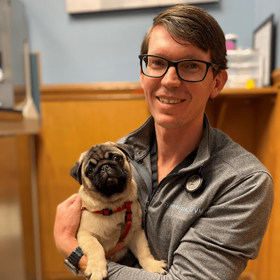 Happy veterinarian holding a cute puppy