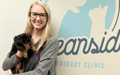 Family-Owned Practice Improves Staff’s Wellbeing with PetDesk