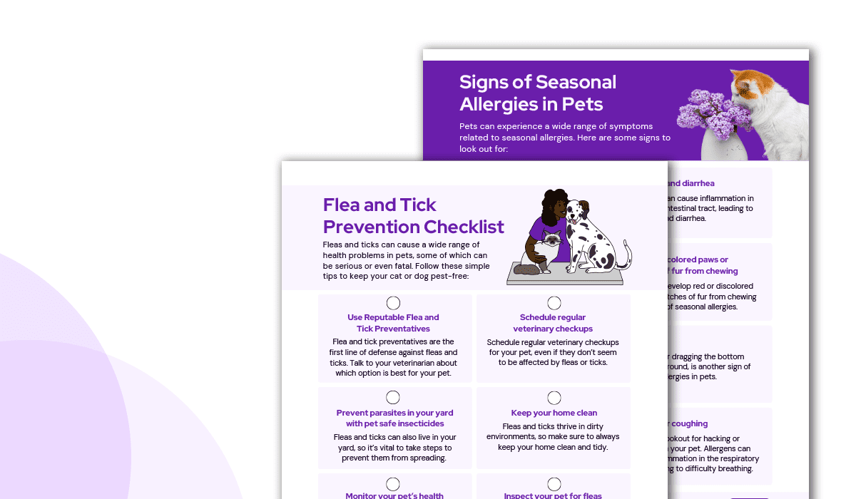 Examples of PetDesk's spring handouts