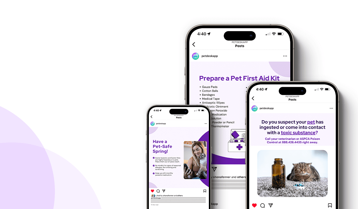 Examples of PetDesk's spring social posts