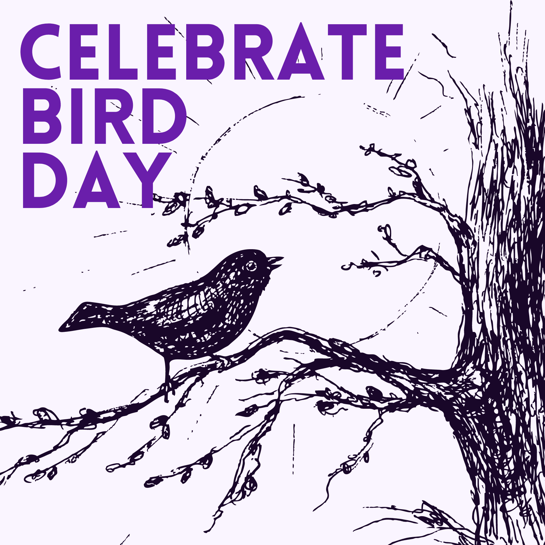 Celebrate Bird Day Social Graphic
