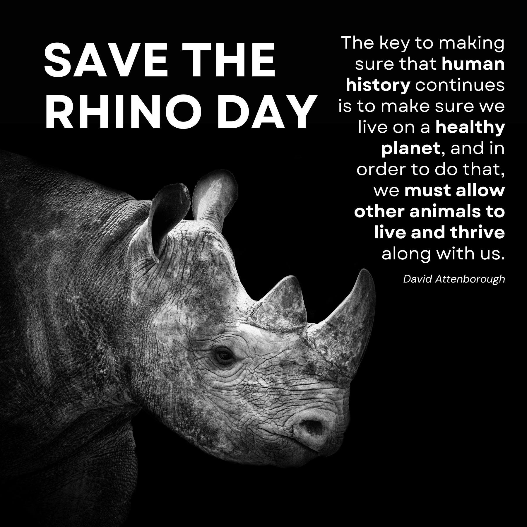 Save the rhino day social graphic
