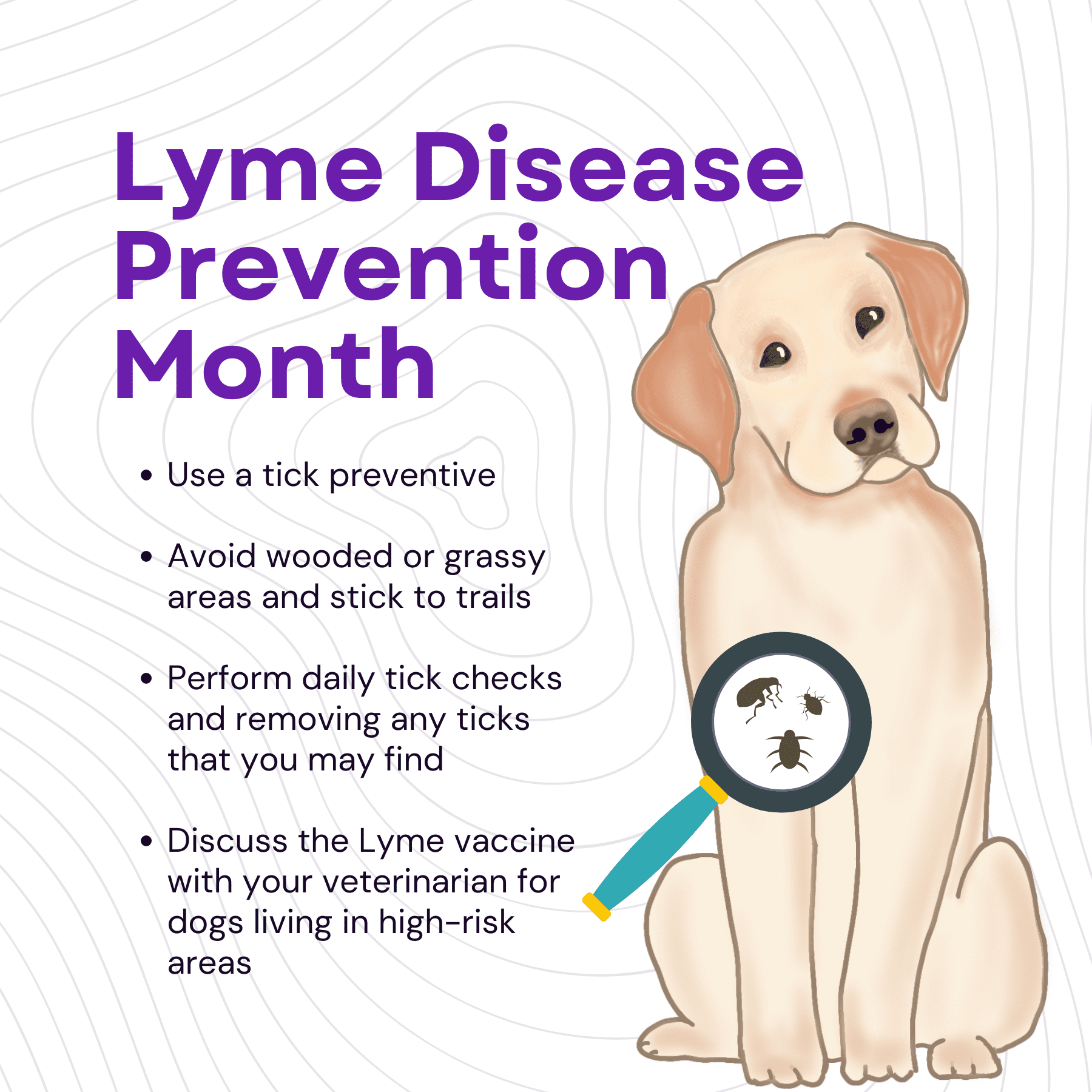 4 Lyme disease prevention month social graphic