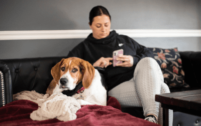 Enhancing Clinic Efficiency: How Automated Veterinary Reminder Systems Reduce No-Shows