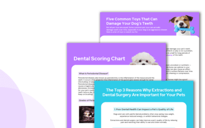 Pet Dental Month Handouts