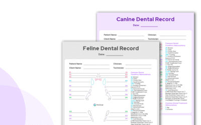 Vet-Specific Dental Month Resources