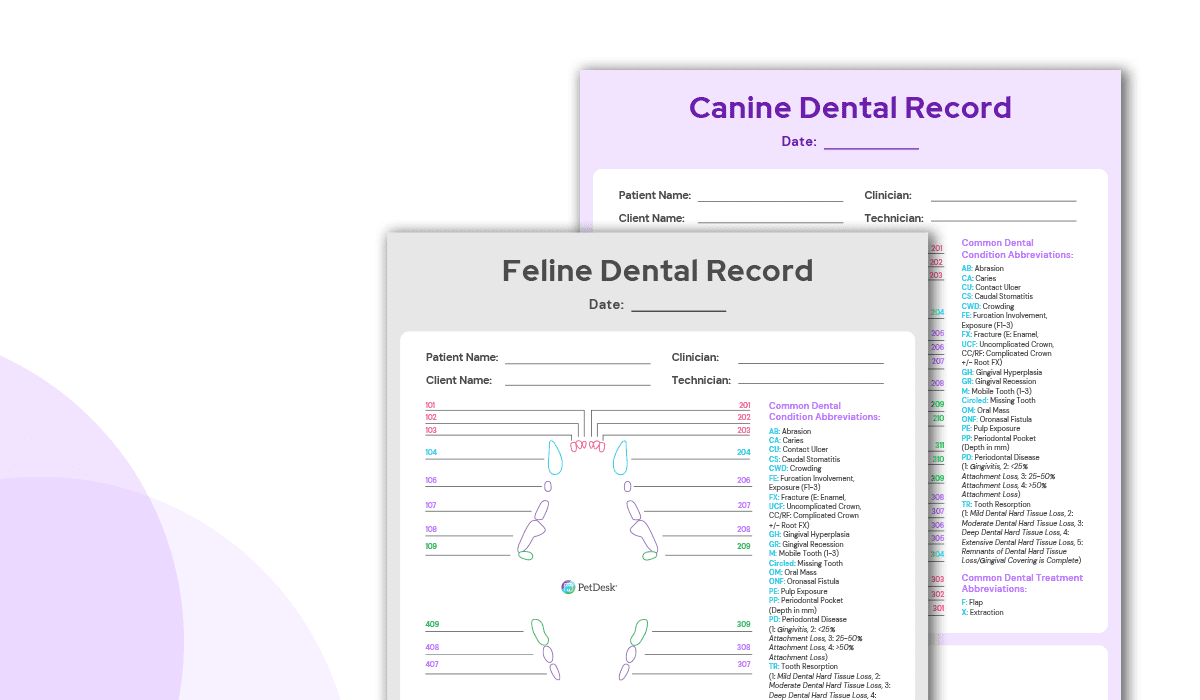 Vet-Specific Dental Health Month Resources
