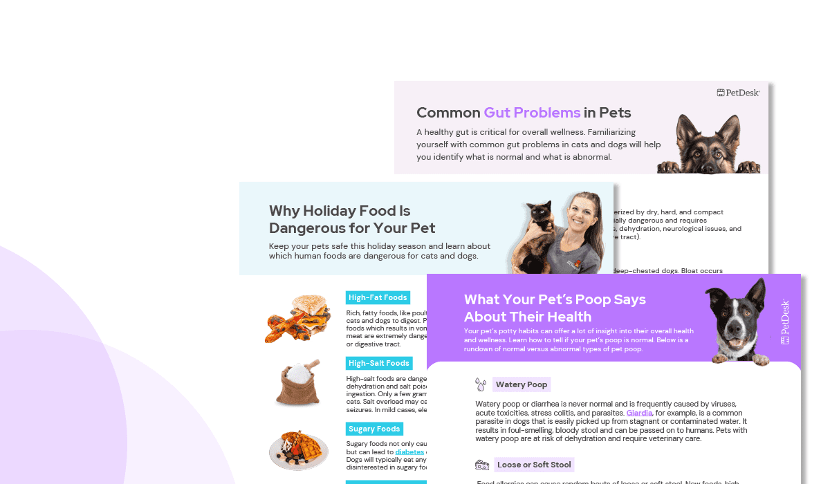 Pet Gut Health Handouts