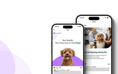Pet Gut Health Social Posts