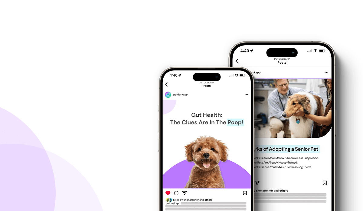 Pet Gut Health Social Posts