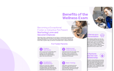 Pet Vitality Educational Handouts