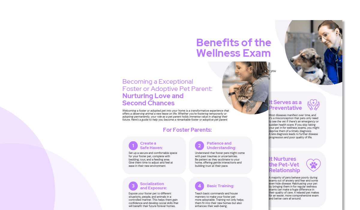 Essential Pet Vitality Content Pack Handouts