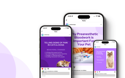 Pet Vitality Educational Social Posts